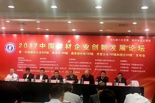 喜訊 13家石材企業(yè)入圍 2017中國建材企業(yè)500強(qiáng)